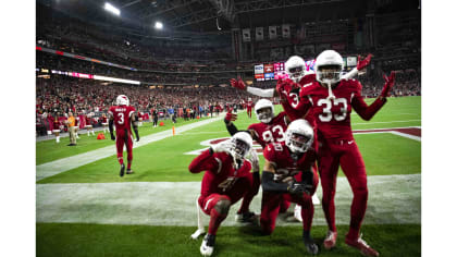 Arizona Football Cardinals NFL Cardinals Report Stadium Seating Sports and  Entertainment News Paper Arizona Football League AzFL