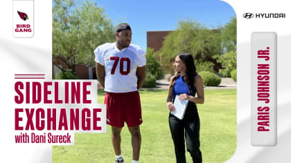 James Conner Speaks on the Team's Identity  Arizona Cardinals: Sideline  Exchange 