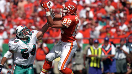 Tony Gonzalez Facts & Stats