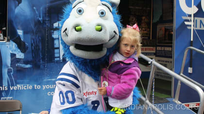 Indianapolis Colts mascot Blue on the field before an NFL football game  against the Chicago Bears, Saturday, Aug. 19, 2023, in Indianapolis. (AP  Photo/Zach Bolinger Stock Photo - Alamy