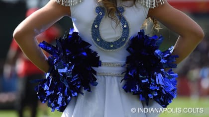 Indianapolis Colts Cheerleader Dog Dress