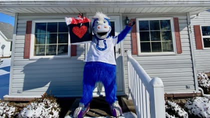 Blue, the Indianapolis Colts mascot, wears a military-themed outfit for  Veterans Day at Lucas Oil Stadium in Indianapolis, Nov. 11, 2018. Blue  engaged in a dance competition with Indiana service members prior