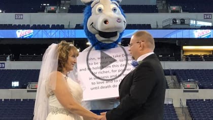 Blue, the Indianapolis Colts mascot, wears a military-themed outfit for  Veterans Day at Lucas Oil Stadium in Indianapolis, Nov. 11, 2018. Blue  engaged in a dance competition with Indiana service members prior