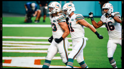 Miami Dolphins, Ryan Fitzpatrick lighting up 49ers defense