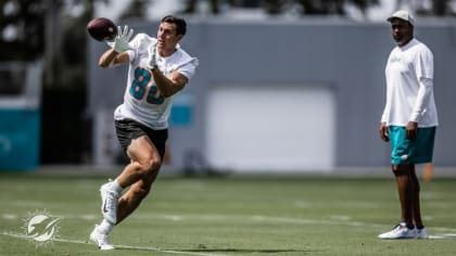 2023 Miami Dolphins Training Camp Preview: Tight Ends - Sports Illustrated  Miami Dolphins News, Analysis and More