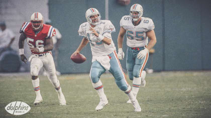 11/27/1966 Boston Patriots at Miami Dolphins highlights, American Football  League Week 13 Flipper 