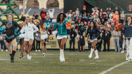 1,056 Dolphins Cheerleader Stock Photos, High-Res Pictures, and