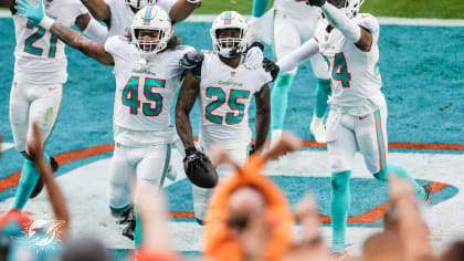 DOLPHINS DARKROOM: Top 25 Photos