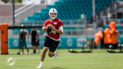 Miami Dolphins on X: First up in our 2023 positional previews: the QBs 