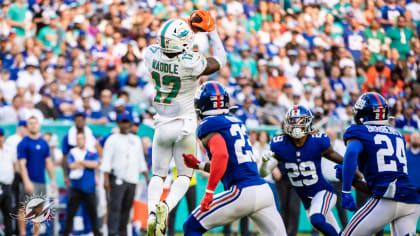 Dolphins at Giants final score, immediate reactions, recap - The Phinsider