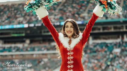 1,056 Dolphins Cheerleader Stock Photos, High-Res Pictures, and