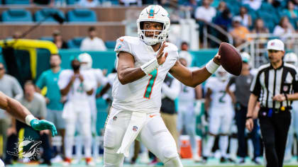 Miami Dolphins wide receiver Mack Hollins (86) catches a pass in the end  zone for a touchdown d …