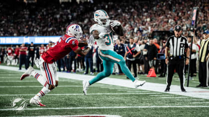 Miami Dolphin Highlights Outlet -  1695978835