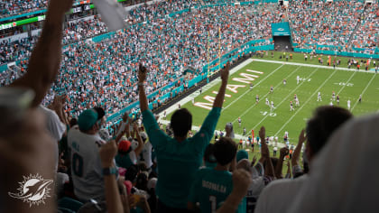 Miami Dolphins Give 500 Thanksgiving Meals