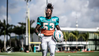 Report: Miami Dolphins hosting linebacker Shaquem Griffin on free-agent  visit - Dolphin Nation