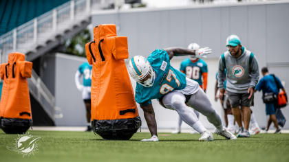 Miami Dolphins have monsters at the interior D-line position