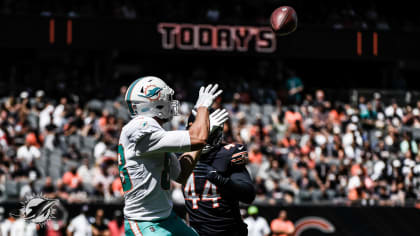 Chicago Bears vs Miami Dolphins Postgame