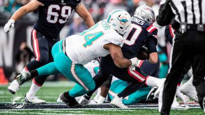 Springfield's Christian Wilkins breaks single-season tackle record for  defensive tackles in Dolphins' win over Patriots 