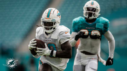 Dolphins training camp features 14 open practices at new facility