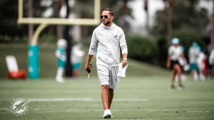 Miami Dolphins Training Camp For Free ⎜ Van Rental