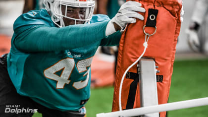 Miami Dolphins defensive tackle Anthony Moten (43) attempts to