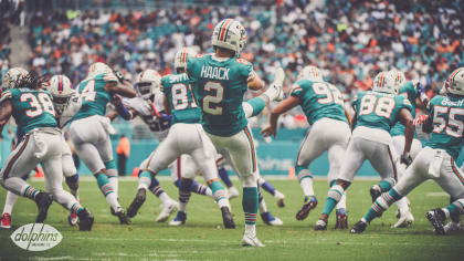 Miami Dolphins 90-in-90 roster breakdown 2019: Matt Haack - The Phinsider