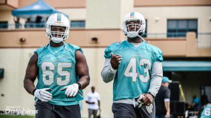 Miami Dolphins defensive tackle Anthony Moten (43) attempts to