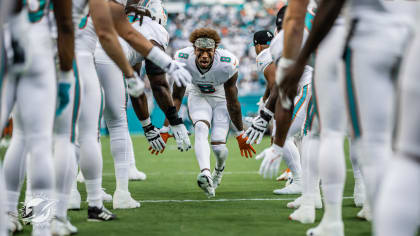 14,527 Dolphins Preseason Stock Photos, High-Res Pictures, and