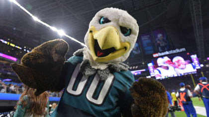 Eagles' Swoop Loses to Buffalo Mascot in List of Best NFL Mascots