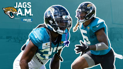 The Houston Texans and Jacksonville Jaguars have numerous connections  between their coaches and players.