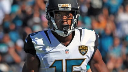 89: Allen Hurns (WR, Jaguars)  Top 100 NFL Players of 2016 