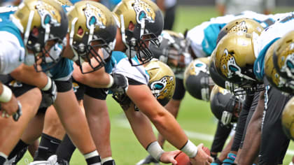 Jacksonville Jaguars scrimmage: Family Night at EverBank - Big Cat