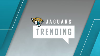 Jaguars sign punter Logan Cooke to rookie contract - Big Cat Country