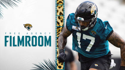 Eagle Connect Alumni - Jacksonville Jaguars