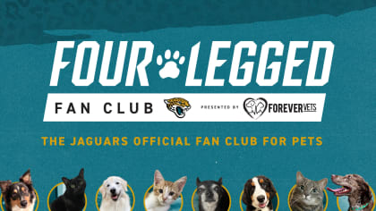 Jaguars celebrate 904 day, encourage fans to show their team pride