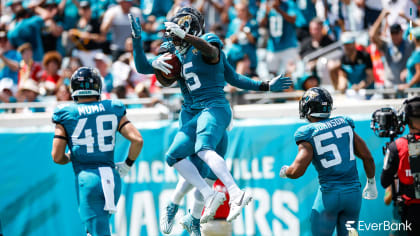 DVIDS - Images - 125th FW performs flyover at Jags game [Image 1 of 3]