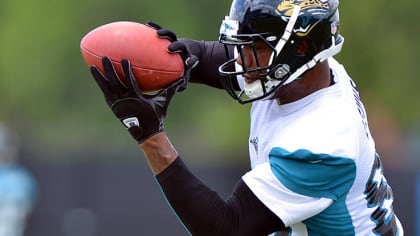 The Jacksonville Jaguars Release Veteran Tight End Marcedes Lewis