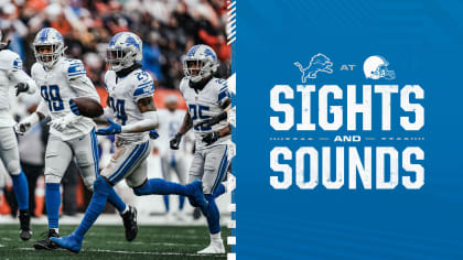 Sights and Sounds Week 11