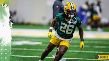 Green Bay Packers linebacker Krys Barnes pounces on Packers safety Dallin  Leavitt's forced fumble for 11-yard runback