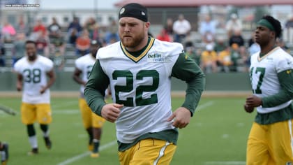 Aaron Ripkowski, Kansas City Chiefs, RB - News, Stats, Bio 