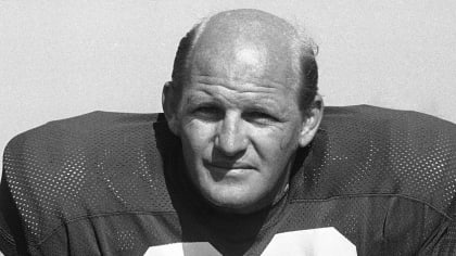 Men's Green Bay Packers #66 Ray Nitschke Green Salute To Service