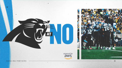 Week 16 Game Preview: Panthers vs. Lions