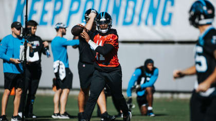 Steve Wilks: Hard to pull P.J. Walker out of Panthers' starting QB