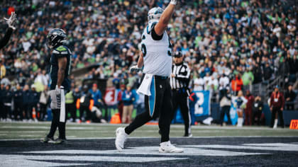 3,708 Carolina Panthers Fans Stock Photos, High-Res Pictures, and