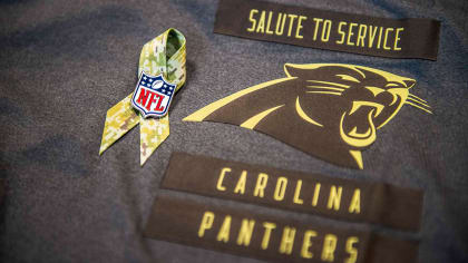 A Salute to Service sticker is seen on Carolina Panthers wide