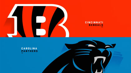 Highlights: Panthers vs. Bengals