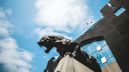 Carolina Panthers Football Stadium Big Cat Statue, Charlotte, NC