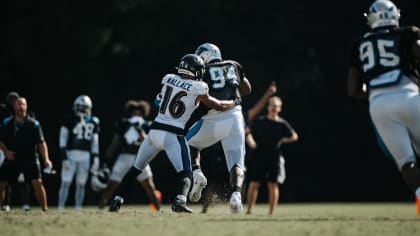 Dispatches From Panthers Training Camp: A Scrimmage In The Stadium