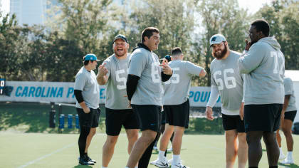 Carolina Panthers Look to Continue Commitment to Fan Experience