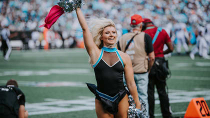 panthers topcat - Carolina Panthers Cheerleaders - Carolina Huddle